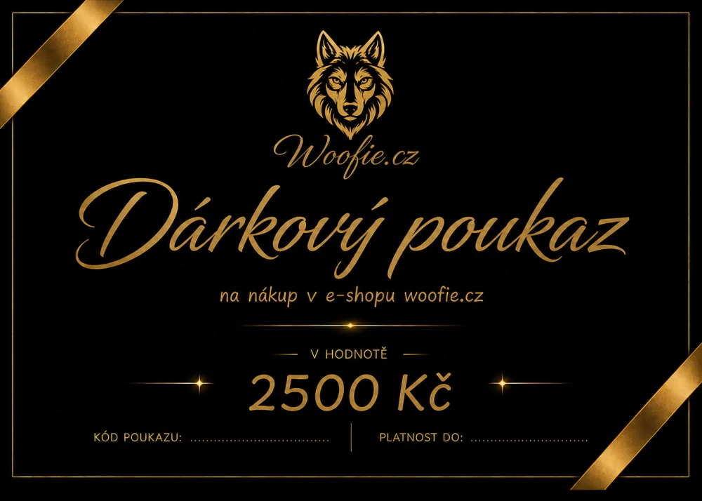 DÁRKOVÝ POUKAZ 2500 KČ