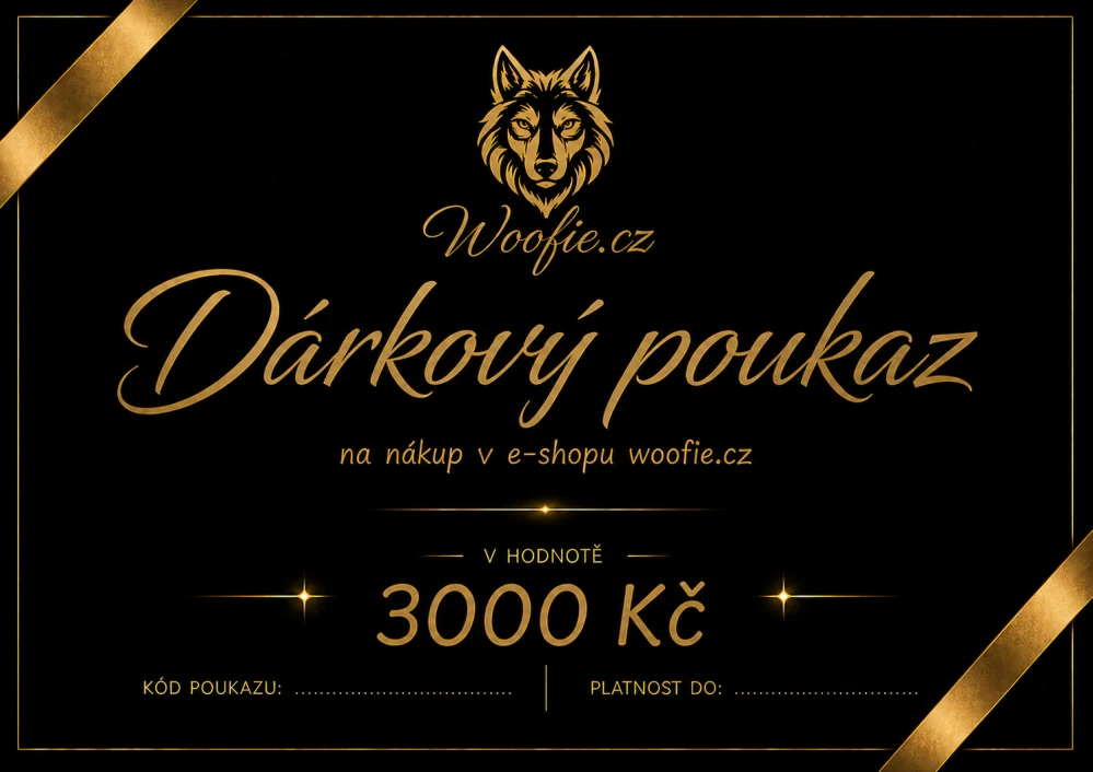 DÁRKOVÝ POUKAZ 3000 KČ