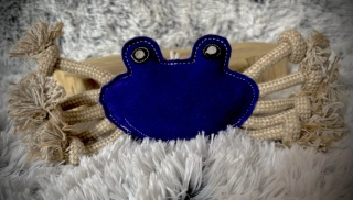MODRÝ KRAB 