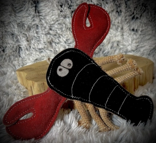 HUMR 