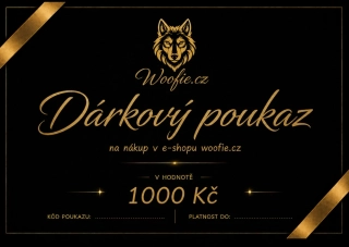 DÁRKOVÝ POUKAZ 1000 KČ
