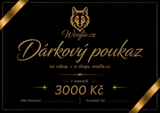 DÁRKOVÝ POUKAZ 3000 KČ